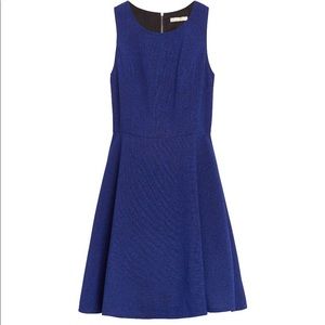 🌹✨ Evanna Blue Dress